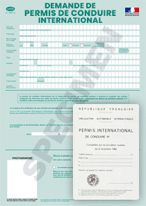 CERFA 1448101  Demande de permis international  Startdoc